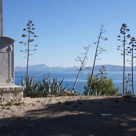 Desiree * Bouzaíika