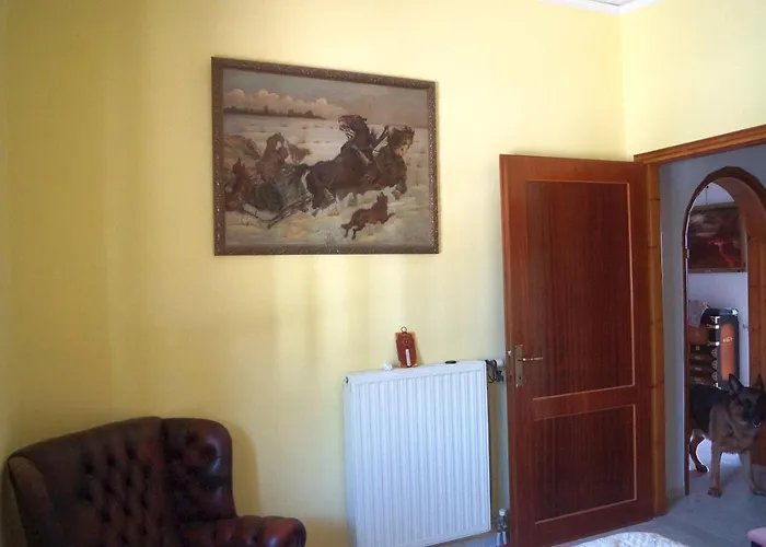 Desiree * Bouzaíika