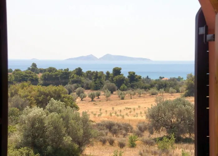 Desiree Apartamento Bouzaiika