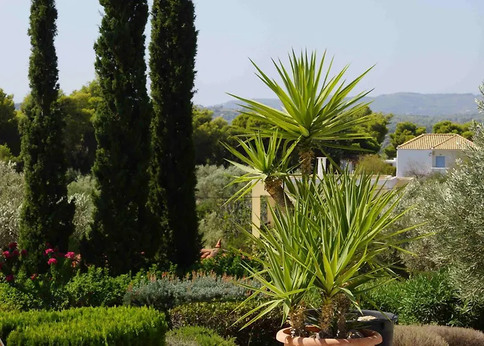 Apartament Desiree *